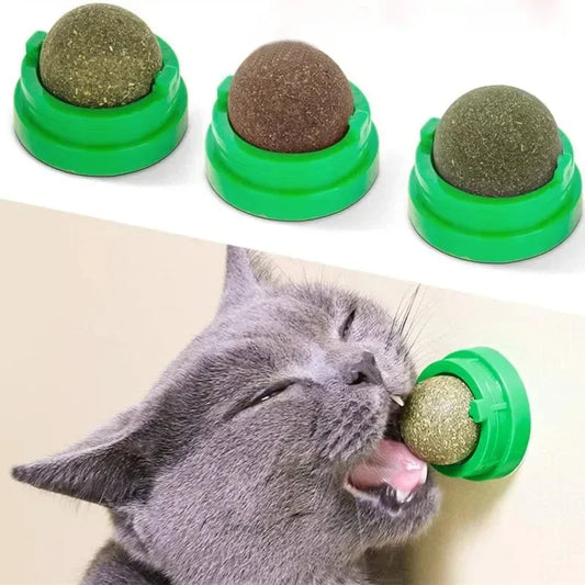The Catnip Cat Wall Stick-on Ball Toy Scratchers Treats Healthy Natural Removes Balls To Promote Digestion Cat Grass Snack
