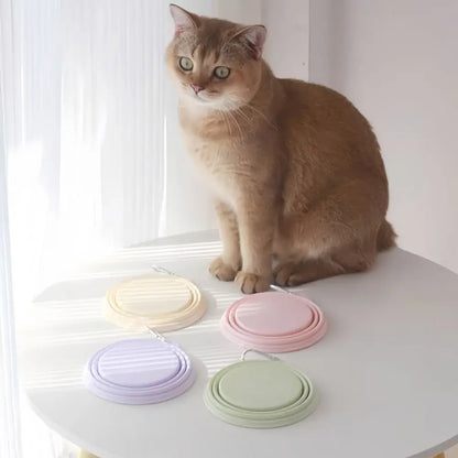 350ml Macaron Pet Bowl TPE Cartoon Pattern Puppy Feeding Bowl Collapsible with Hanging Holes Portable Pet Bowl for Dogs Cats