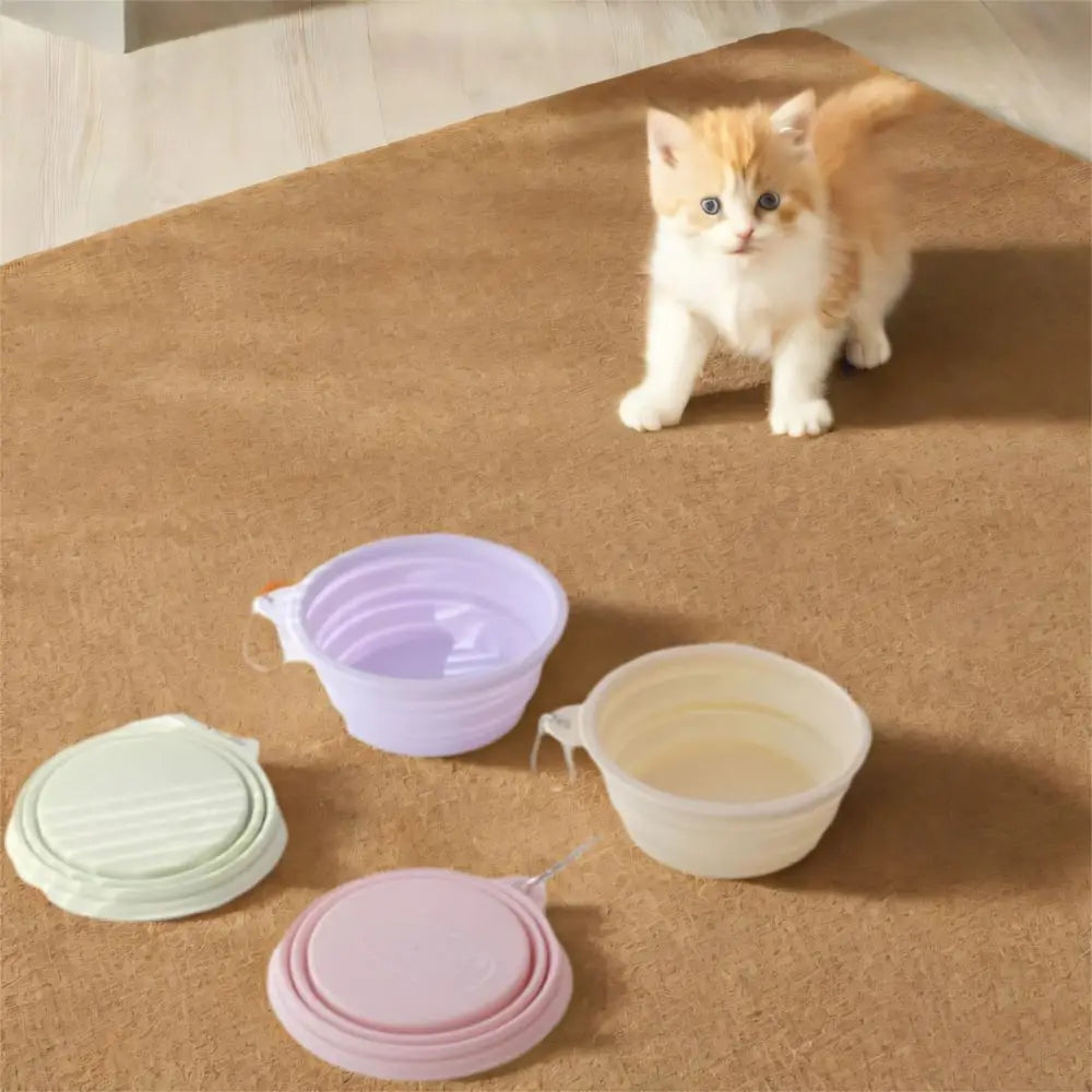 350ml Macaron Pet Bowl TPE Cartoon Pattern Puppy Feeding Bowl Collapsible with Hanging Holes Portable Pet Bowl for Dogs Cats