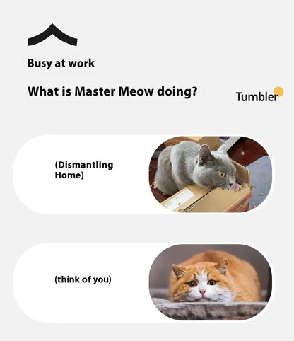 Smart Interactive Cat Toys Ball Auto Electric Rolling Ball Toys for Cat Kitty Pet Automatic Training USB Rechargeable Cat Toy