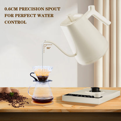 600ml Gooseneck Electric Kettle Hand Brew Coffee Pot Temperature Control Smart Tea Pot Rapid Heating Kettle 220V