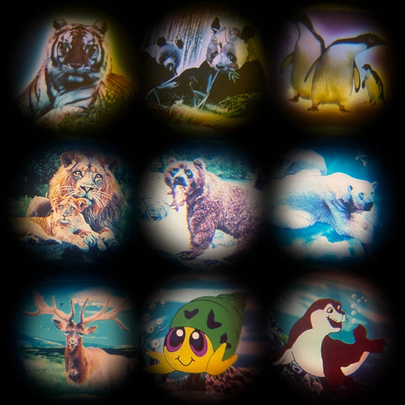 5pcs Mini Cartoon Animal Pattern Camera Toy Kids Birthday Party Favor Carnival Gift Boy Girl School Reward Goodie Filler