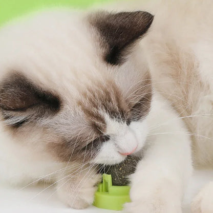 The Catnip Cat Wall Stick-on Ball Toy Scratchers Treats Healthy Natural Removes Balls To Promote Digestion Cat Grass Snack