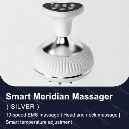 Electric Meridian Brush Gua Sha Body Massager EMS Microcurrent Hot Compress Scraping Lymphatic Drainage Machine Fat Burner