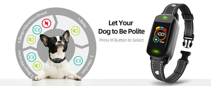 Automatic Anti Bark Collar Dog Training Bark Stopper with 5 Adjustable Sensitivity Beep Vibration Shock Collar IP67 Waterproof