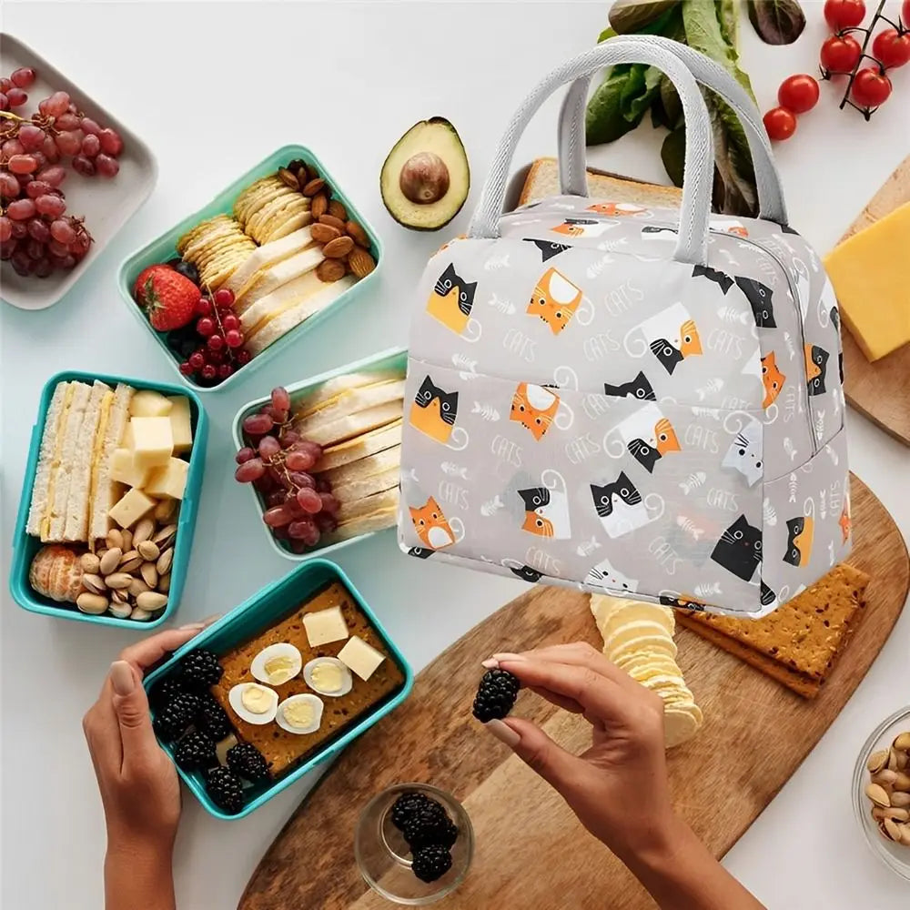 Reusable Lunch Bag for Women Large Capacity Small Insulated Cooler Lunch Container Leakproof Lunch Tote Bags