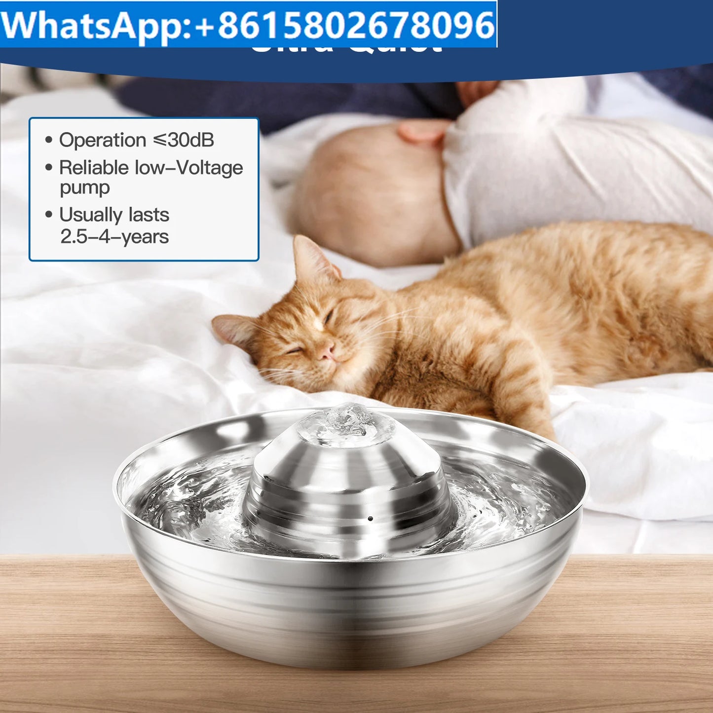 Easy to clean filter pet bowl automatic feeder water supply pipe without overflow