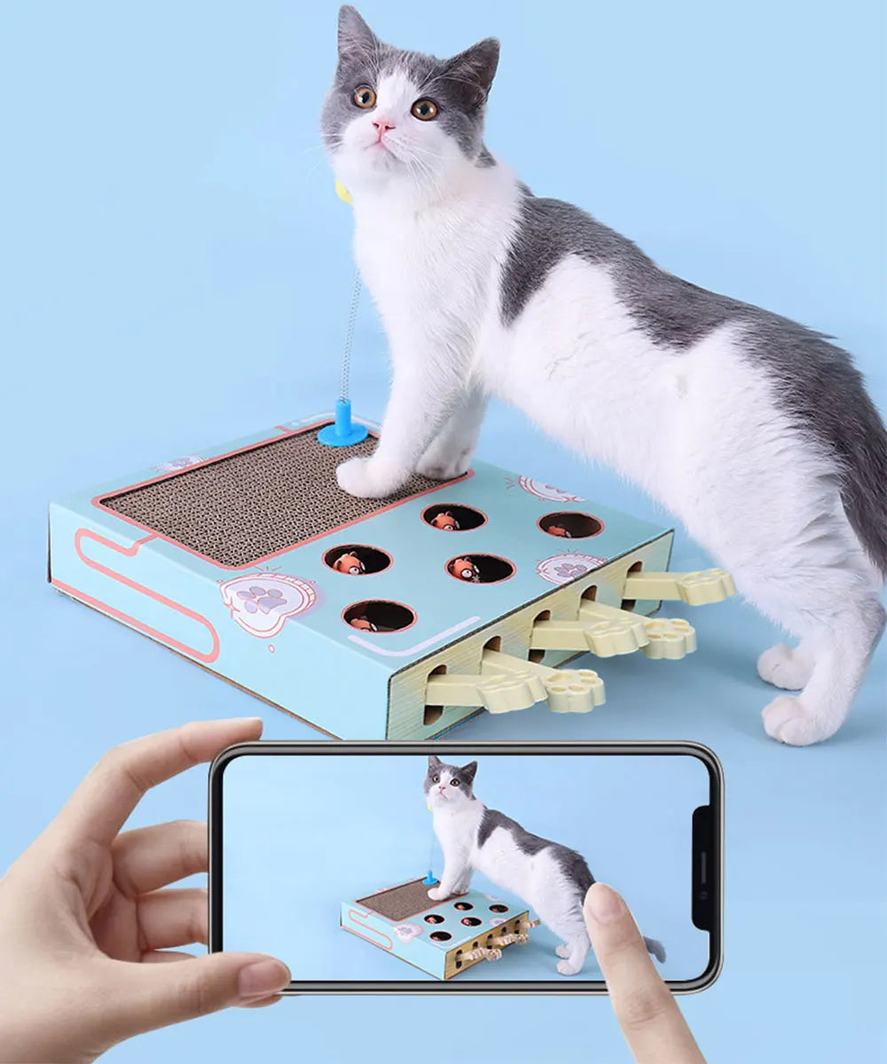 Cat Toy Whack-a-Mole Cat Scratching Board Toy Grinding Claw Rest Play Funny Cat Interactive Multifunctional Cat Supplies