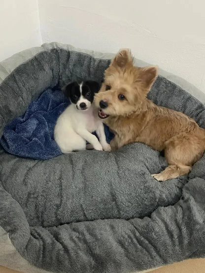 Soft Warm Dog Bed Pets Basket Cat House Sofa for Medium Large Dog Sofa Bed Cushion Dog Bed House Pet Supplies Accessories2025new