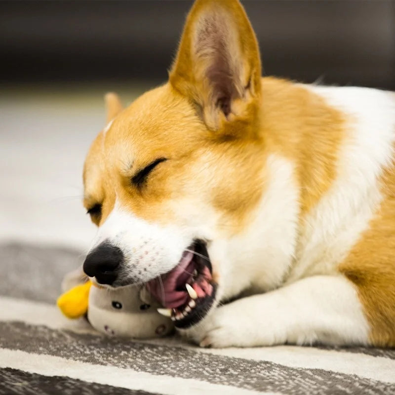 GiGwi Dog Toy Honour Series Plush Call Doll Voice Relieves Boredom Small and Medium sized Dog Puppy Pet Dog toy Sound toy gift