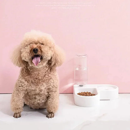 Pet food bowl, food container with automatic water storage and equipped with pet water dispenser 2-in-1 cat bowl water dispenser