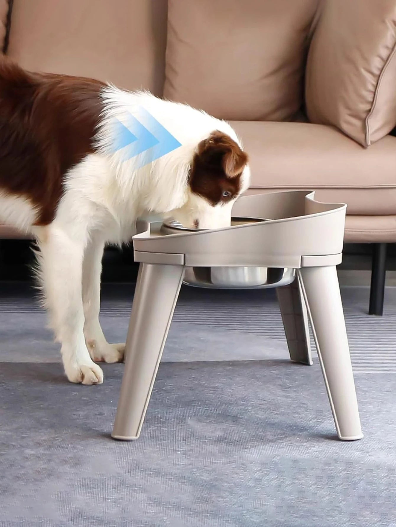 Pet food bowl with stand raised feeder dog bowl spill proof dog water bowl suitable for small, medium and large dogs and pets