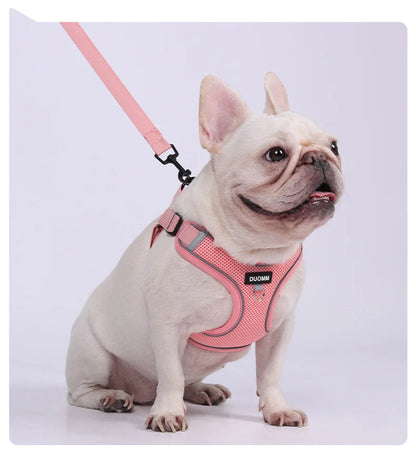 Dog Harness Leash Set Small Medium Dog Cat Chest Strap Adjustable Reflective Breathable Walking Training Vest Pet Accessories