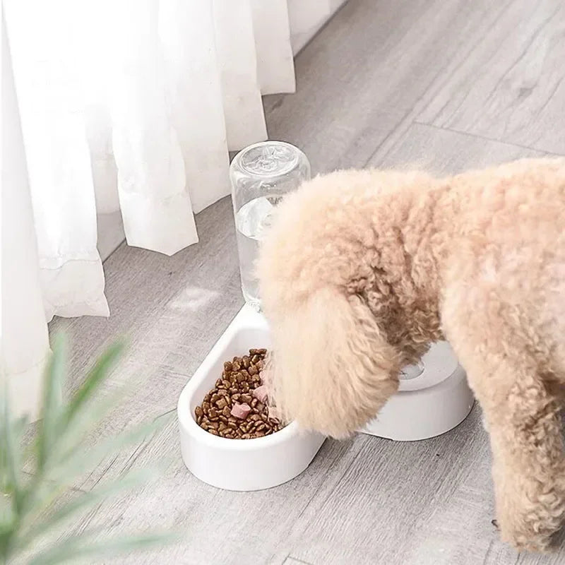 Pet food bowl, food container with automatic water storage and equipped with pet water dispenser 2-in-1 cat bowl water dispenser