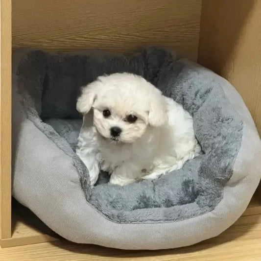 Soft Warm Dog Bed Pets Basket Cat House Sofa for Medium Large Dog Sofa Bed Cushion Dog Bed House Pet Supplies Accessories2025new