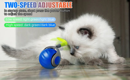 New Interactive Cat Toys Ball Auto Electric Rolling Ball Toys for Cat Kitty Pet Smart Automatic Teaser USB Rechargeable Cat Toy