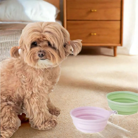 350ml Macaron Pet Bowl TPE Cartoon Pattern Puppy Feeding Bowl Collapsible with Hanging Holes Portable Pet Bowl for Dogs Cats