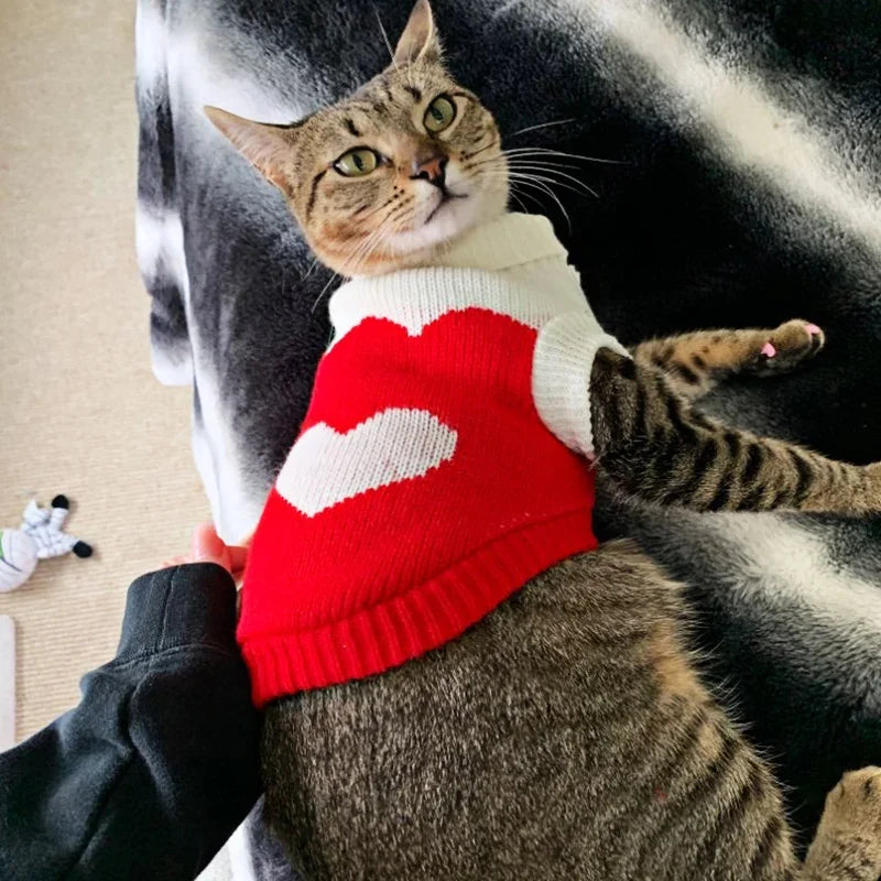 Christmas Cat Dog Sweater Pullover Winter Dog Clothes for Small Dogs Chihuahua Yorkies Puppy Jacket Pet Clothing ubranka dla psa