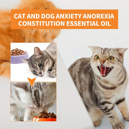 Natural Organic Calming Drops Pet Anxiety Relief Blend Essential Oil For Dogs Cats Create An Anxiety-Free Experience Skin Health