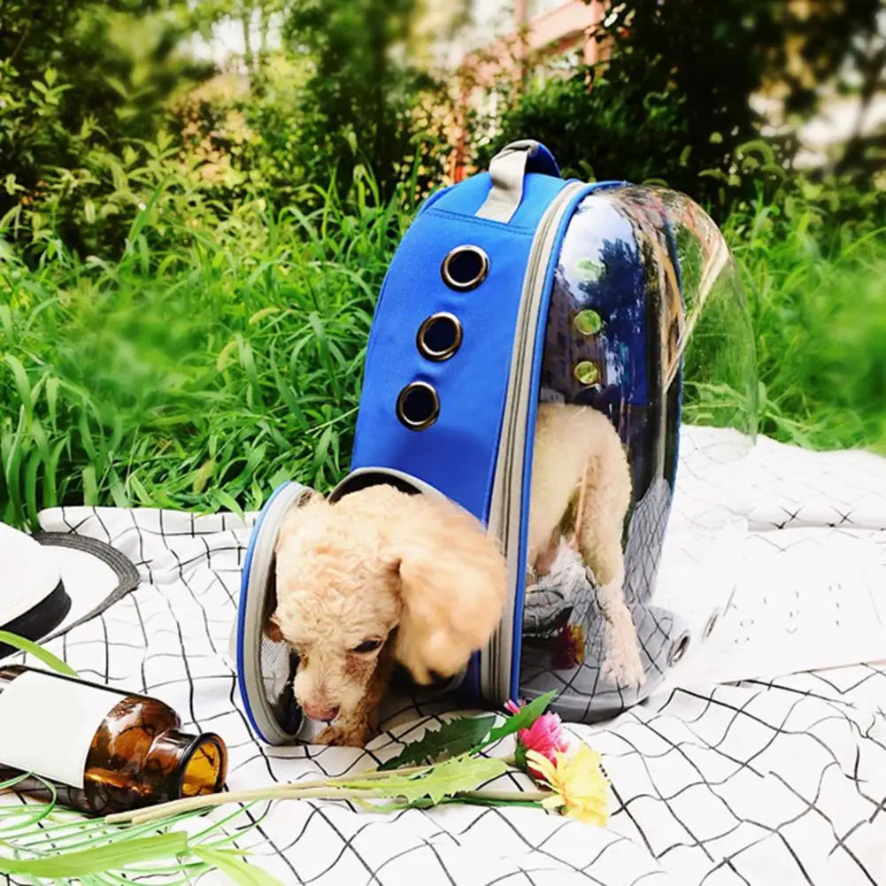 Manufacturer directly supplies cat bags, pet backpacks, portable and transparent space capsules, cat supplies, breathable backpa