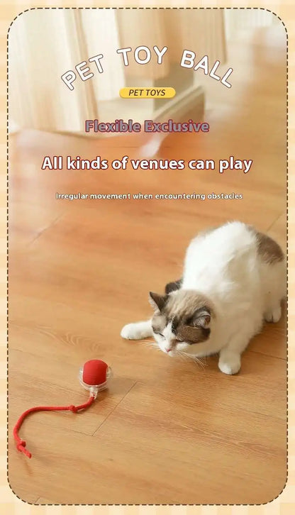 Smart Interactive Cat Toys Ball Automatic Rolling Ball with Faux Tail USB Rechargeable Electric Pet Toy for Teaser and Training