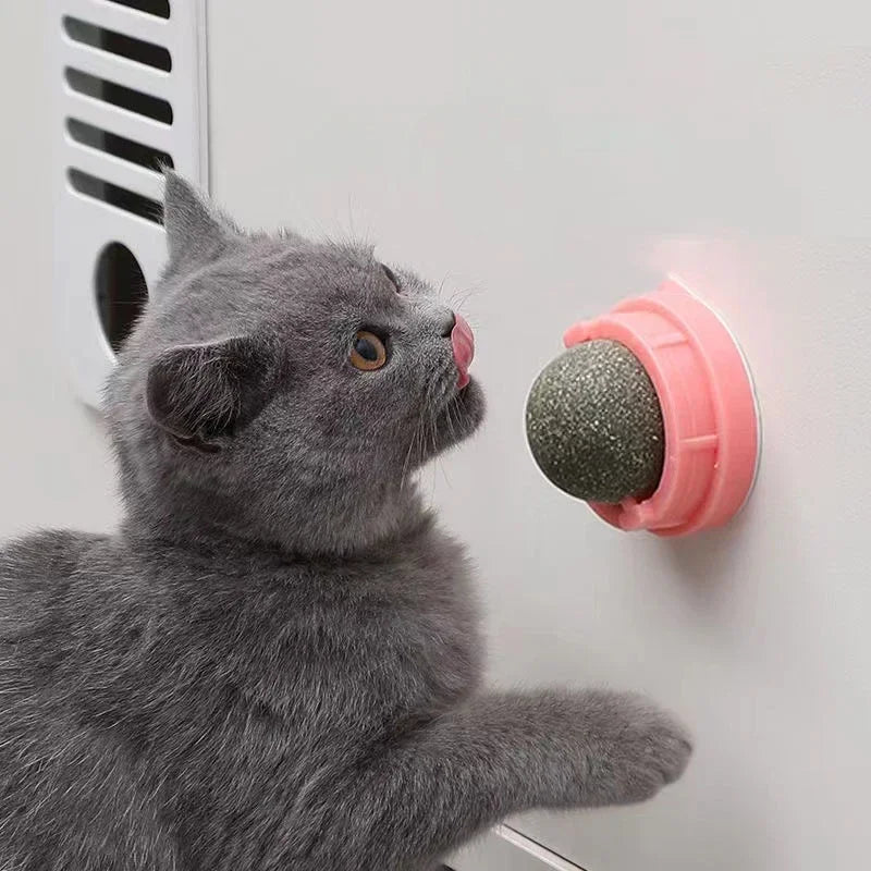 The Catnip Cat Wall Stick-on Ball Toy Scratchers Treats Healthy Natural Removes Balls To Promote Digestion Cat Grass Snack