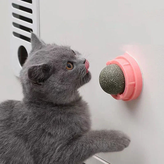 The Catnip Cat Wall Stick-on Ball Toy Scratchers Treats Healthy Natural Removes Balls To Promote Digestion Cat Grass Snack