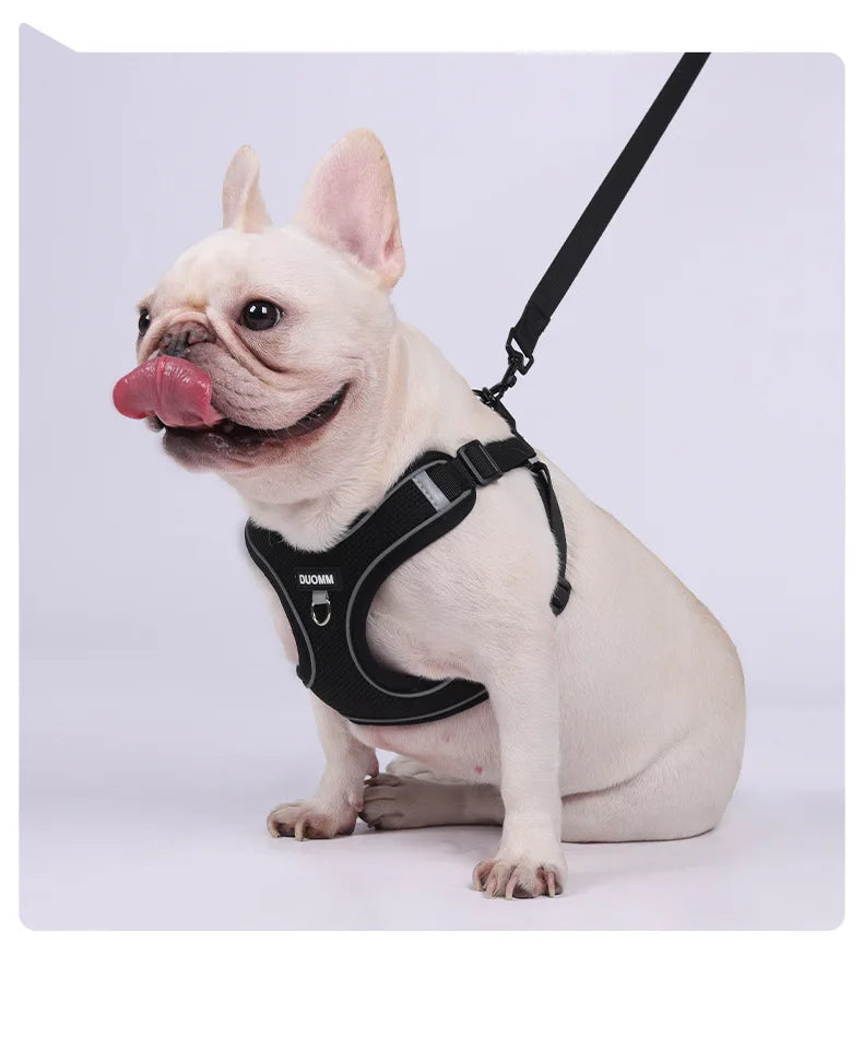 Dog Harness Leash Set Small Medium Dog Cat Chest Strap Adjustable Reflective Breathable Walking Training Vest Pet Accessories