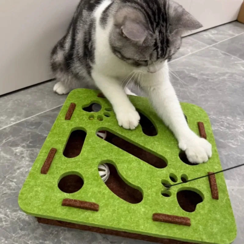 "Interactive Cats Puzzle Toys - Mental Stimulation Maze Box&Sensory Games for Indoor Kittens | Fun Brain Teaser for Smarts Cats"