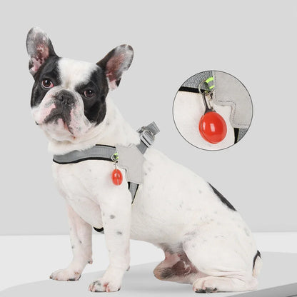 No-Pull Dog Harness Vest for Small Medium Dogs Cats Hiking Breathable Adjustable Chest Strap Bulldog Chihuahua Pet Accessories