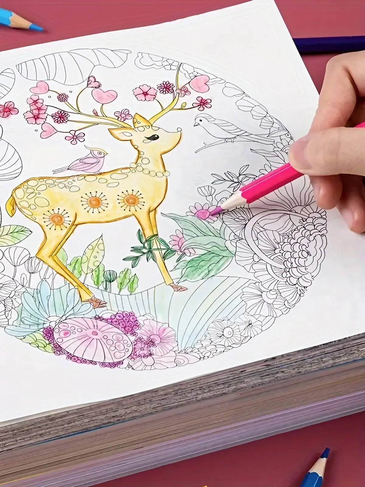 1 random copy adult anti pressure coloring book