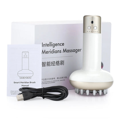Electric Lymphatic Drainage Machine Meridian Body Massage Brush Microcurrent Anti Cellulite Guasha Physiotherapy Apparatus