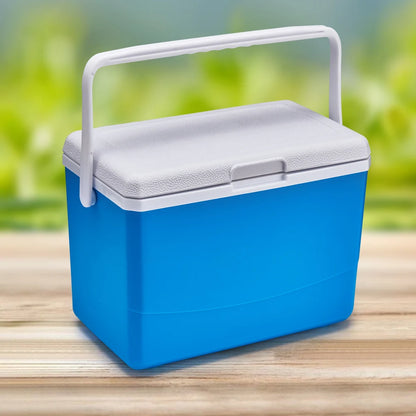 3L Insulated Portable Cooler with Handle Picnic Ice Bucket Heat Preservation Food Storage Cooler Box for Camping Tailgating
