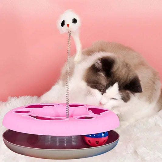 Funny Cat Toys for Indoor Cats Interactive Kitten Toys Roller Tracks with Catnip Spring Pet Toy with Exercise Balls Teaser Mouse