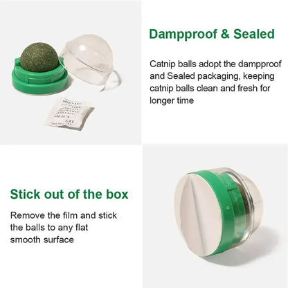 The Catnip Cat Wall Stick-on Ball Toy Scratchers Treats Healthy Natural Removes Balls To Promote Digestion Cat Grass Snack