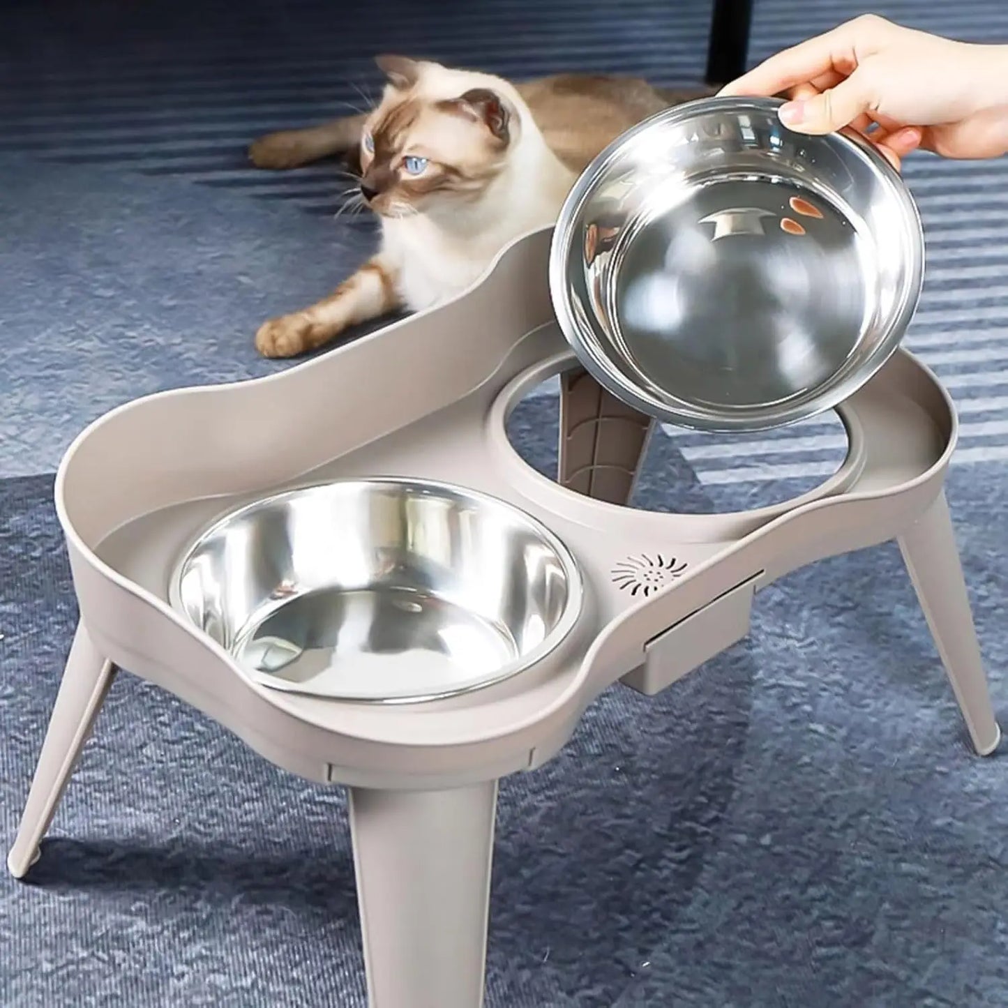 Pet food bowl with stand raised feeder dog bowl spill proof dog water bowl suitable for small, medium and large dogs and pets