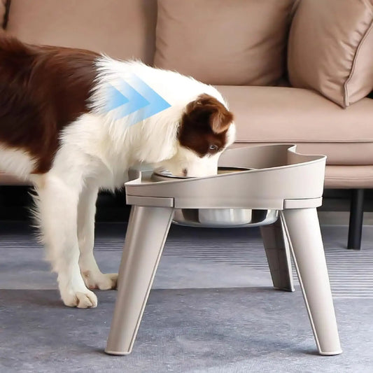 Pet food bowl with stand raised feeder dog bowl spill proof dog water bowl suitable for small, medium and large dogs and pets