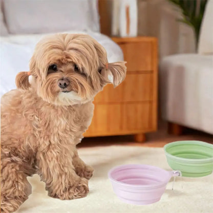 350ml Macaron Pet Bowl TPE Cartoon Pattern Puppy Feeding Bowl Collapsible with Hanging Holes Portable Pet Bowl for Dogs Cats