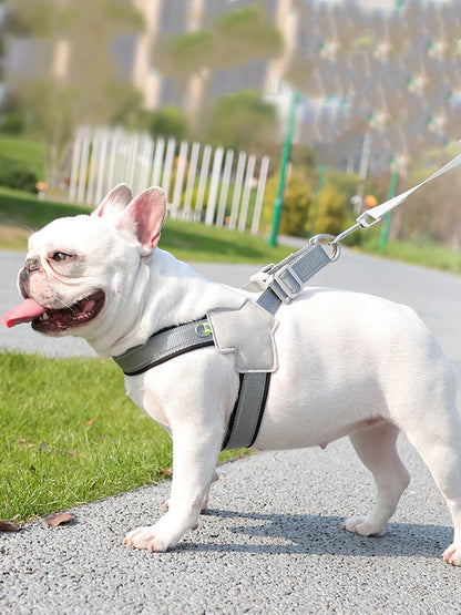 No-Pull Dog Harness Vest for Small Medium Dogs Cats Hiking Breathable Adjustable Chest Strap Bulldog Chihuahua Pet Accessories