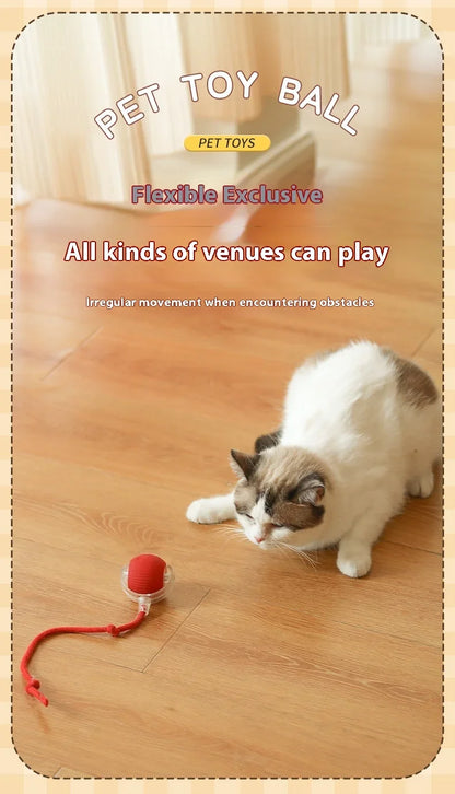 Smart Interactive Cat Toys Ball Auto Electric Rolling Ball Toys for Cat Kitty Pet Automatic Training USB Rechargeable Cat Toy