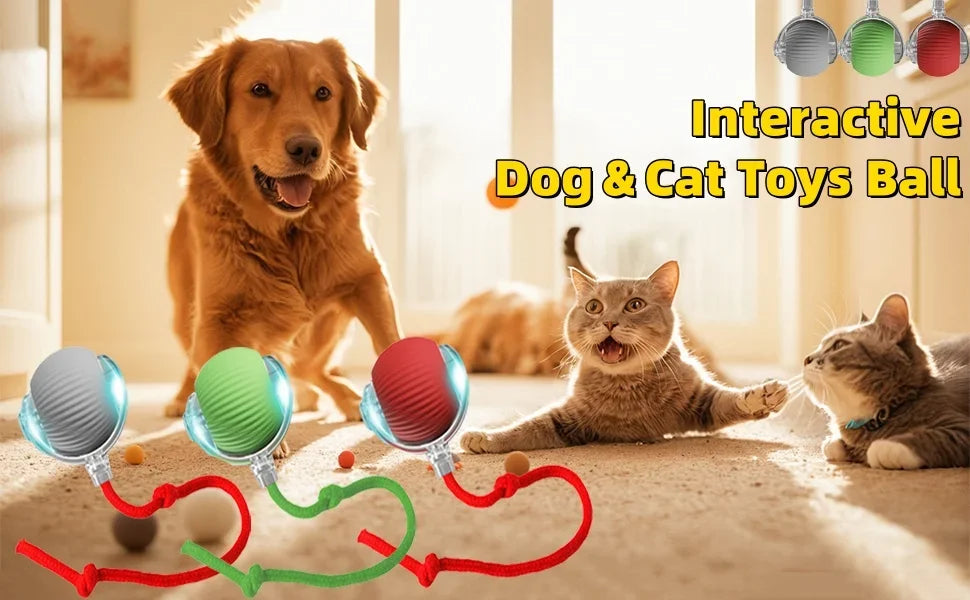 Self-Moving Automatic Cat Teaser Ball with Faux Tail Rechargeable Smart Sensor Cat Toy for Indoor Cats Cat Toys Interactive
