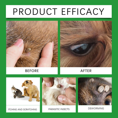 Mite Removal Spray Cats Dogs Flea Killer Itching Relief Remove Ticks Cat Allergy Treatments Anti Lice Insect Pet Skin Care Spray