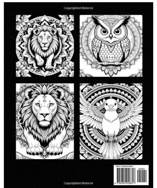 Enchanted Mandalas – Coloring Book for Relaxation and Creativity
